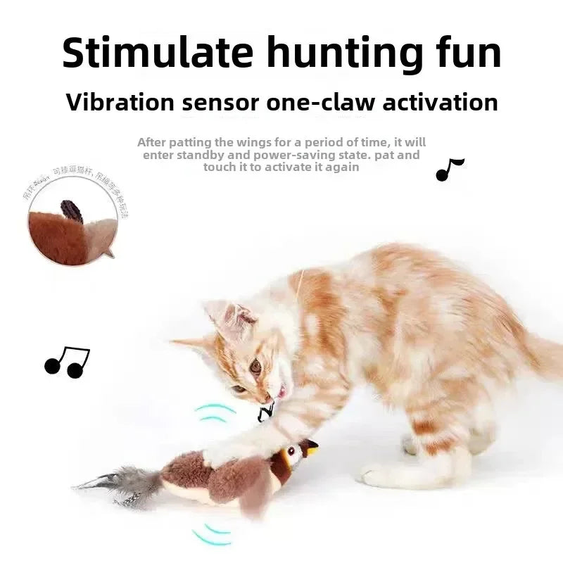 Why Your Pet Will Love It