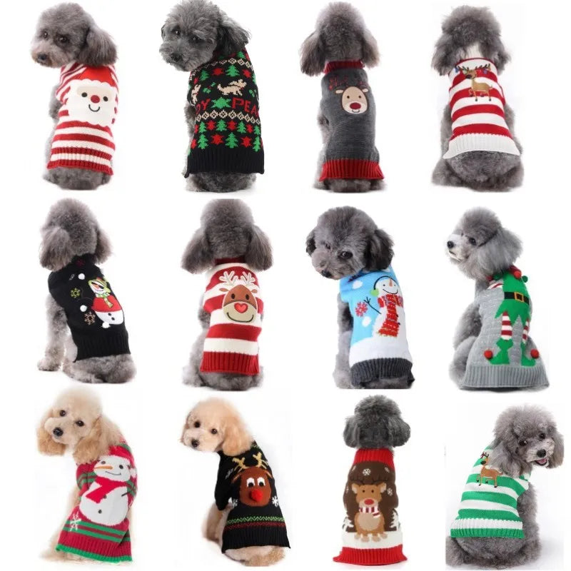 Cozy Winter Sweaters for Dogs
