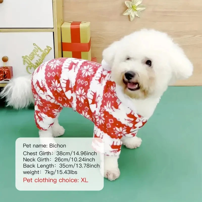 Dog costume for Christmas holidays