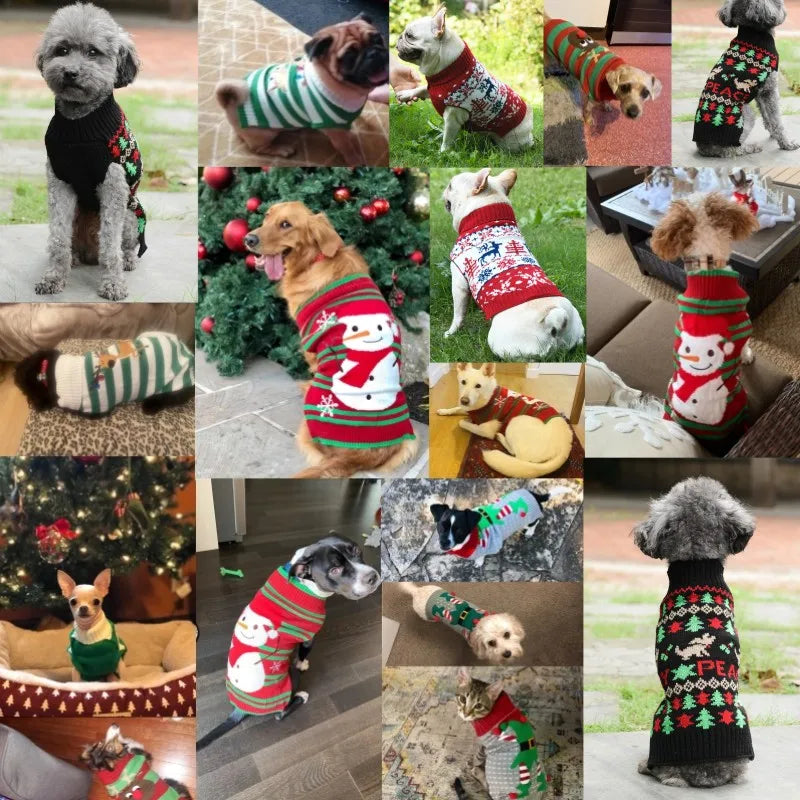 Cozy Winter Sweaters for Dogs