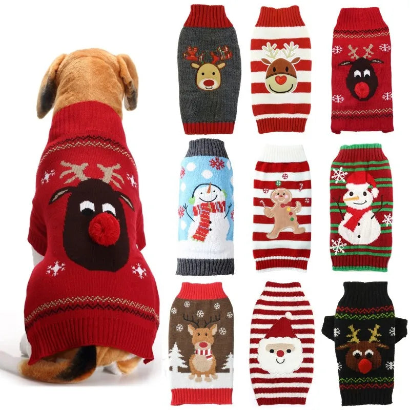 Cozy Winter Sweaters for Dogs