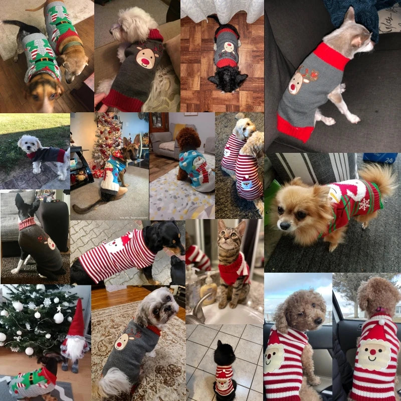 Cozy Winter Sweaters for Dogs
