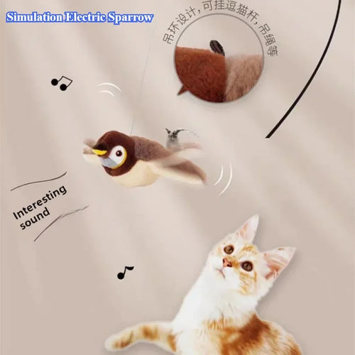 Catnip Bird Toy with USB