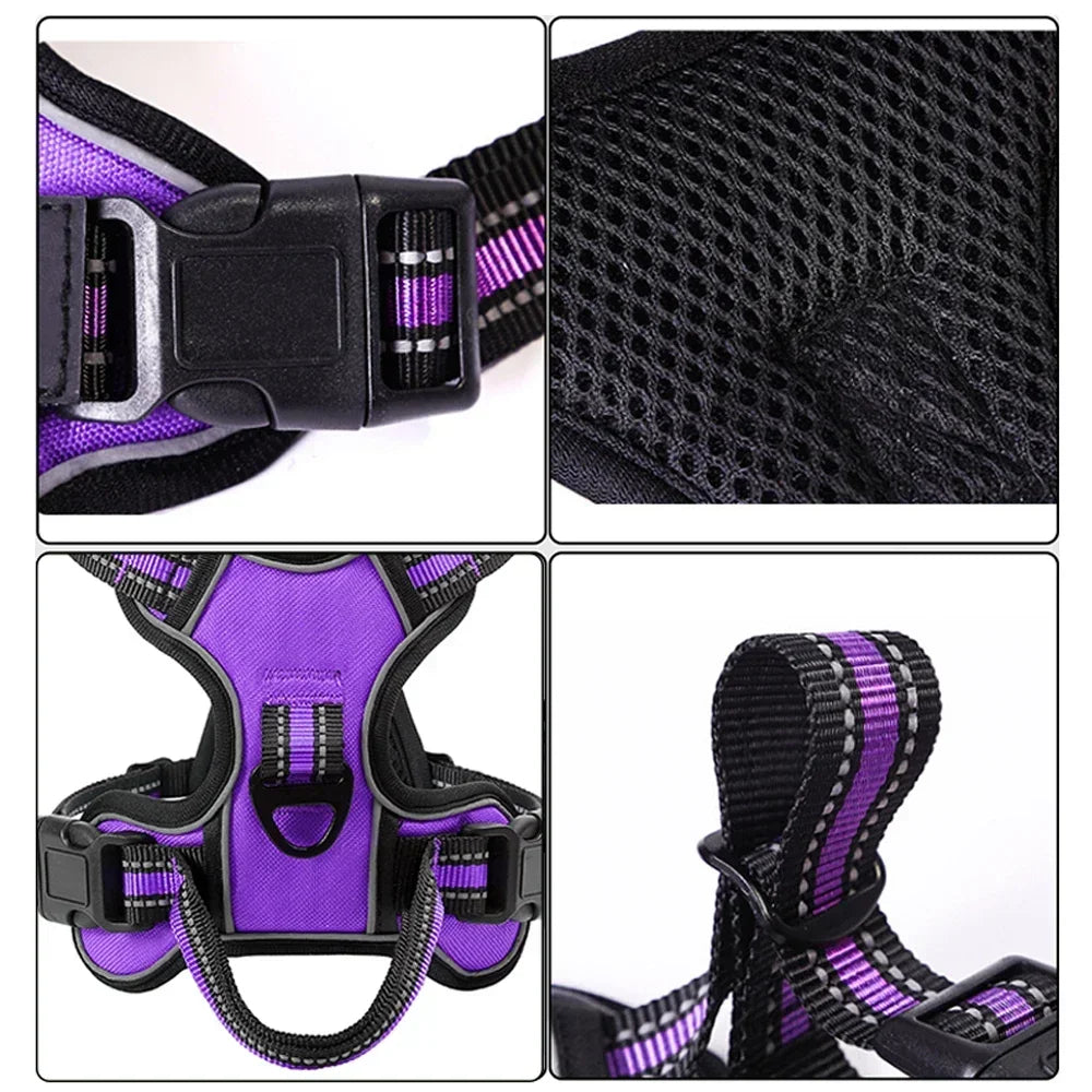 Different Color Variants of Dog Harness